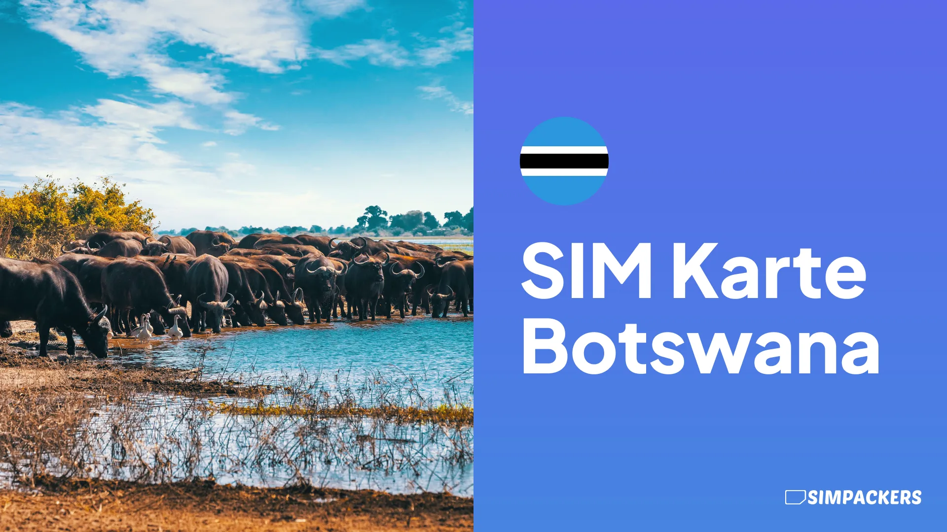 DE/FEATURED_IMAGES/sim-karte-botswana.webp