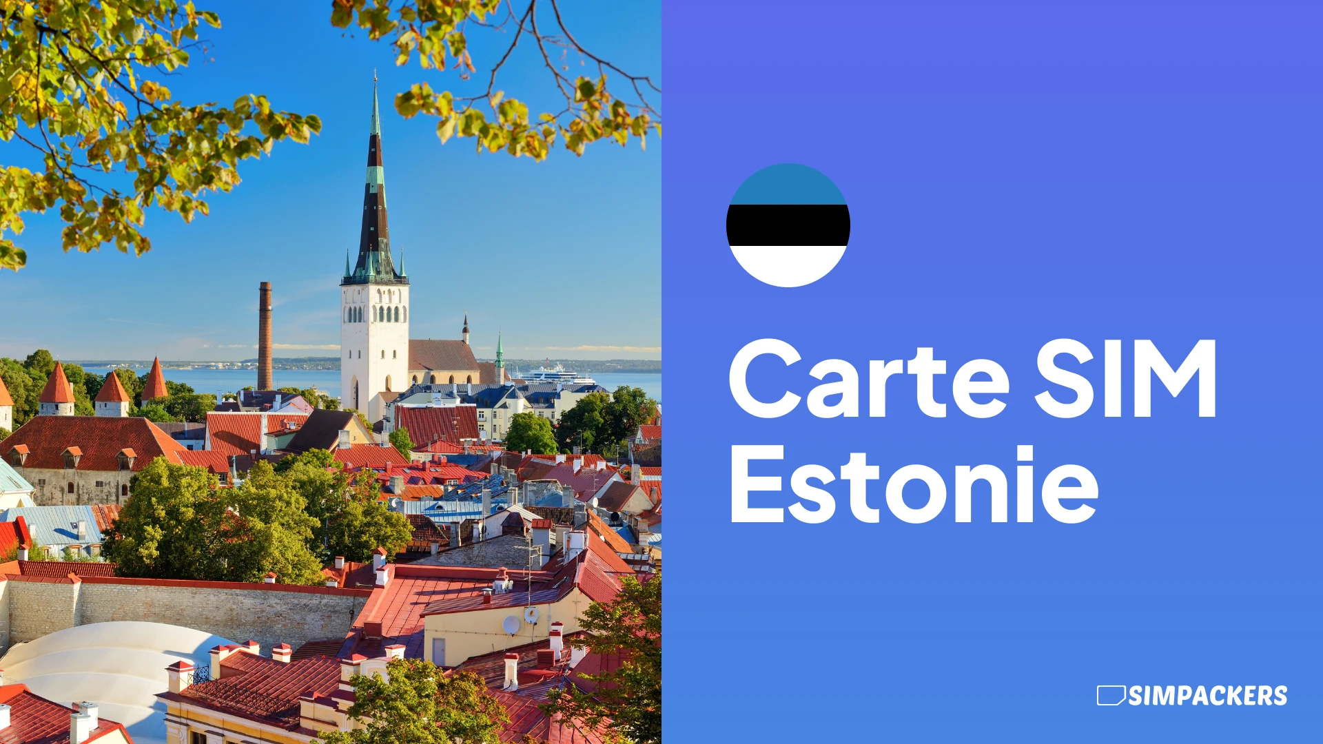 FR/FEATURED_IMAGES/carte-sim-estonie.webp