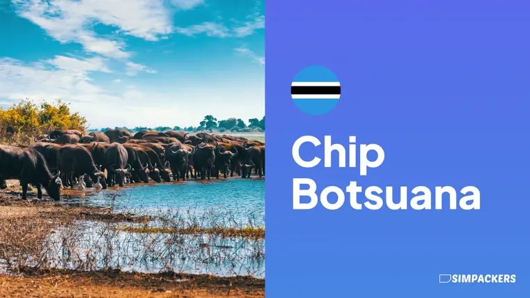 BR/FEATURED_IMAGES/chip-botsuana.webp