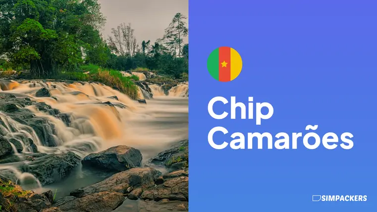 BR/FEATURED_IMAGES/chip-camaroes.webp