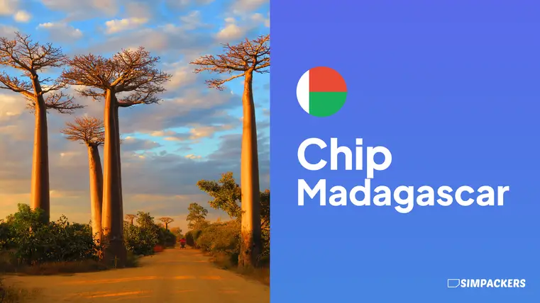 BR/FEATURED_IMAGES/chip-madagascar.webp