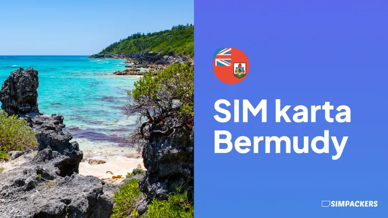 sim karta bermudy