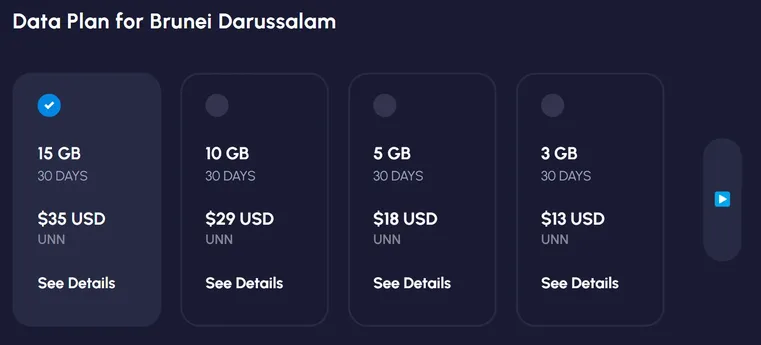 nomad brunei esim