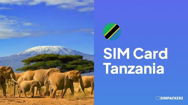 sim card tanzania