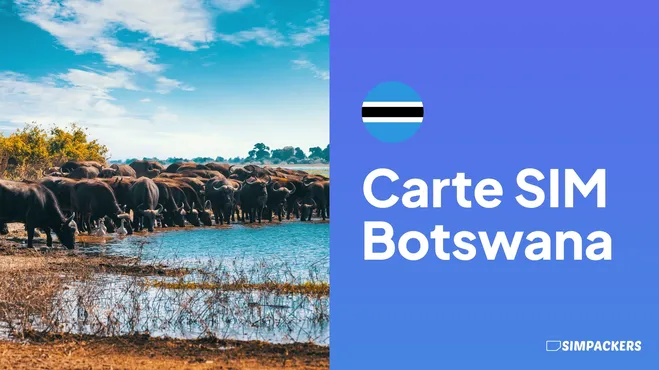 FR/FEATURED_IMAGES/carte-sim-botswana.webp