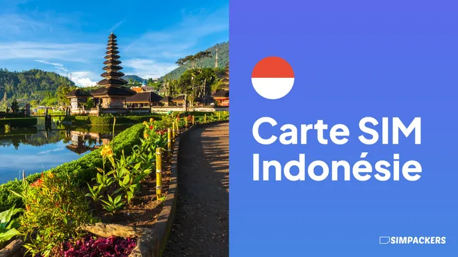 FR/FEATURED_IMAGES/carte-sim-indonesie.webp