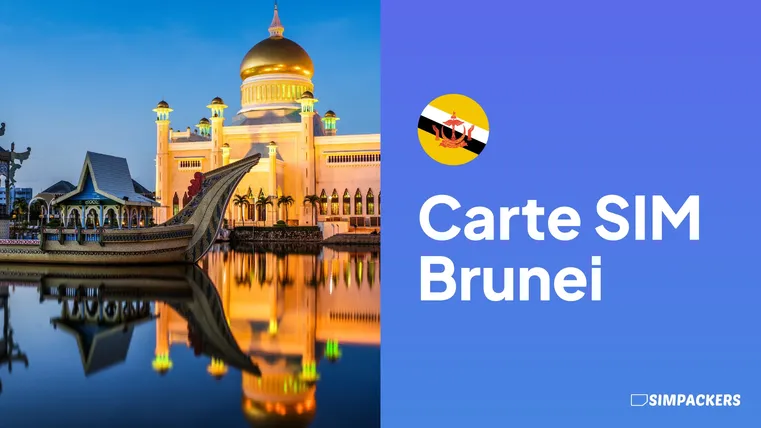 carte sim brunei