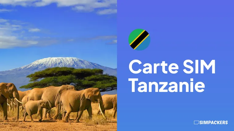 carte sim tanzanie
