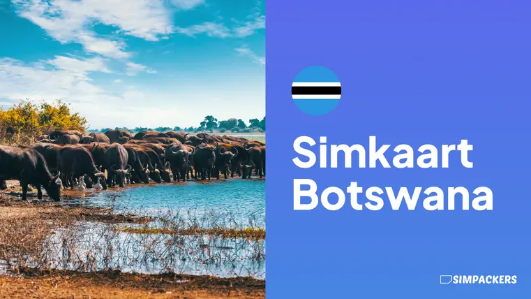 NL/FEATURED_IMAGES/simkaart-botswana.webp