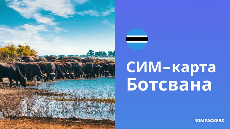 RU/FEATURED_IMAGES/sim-karta-botsvana.webp