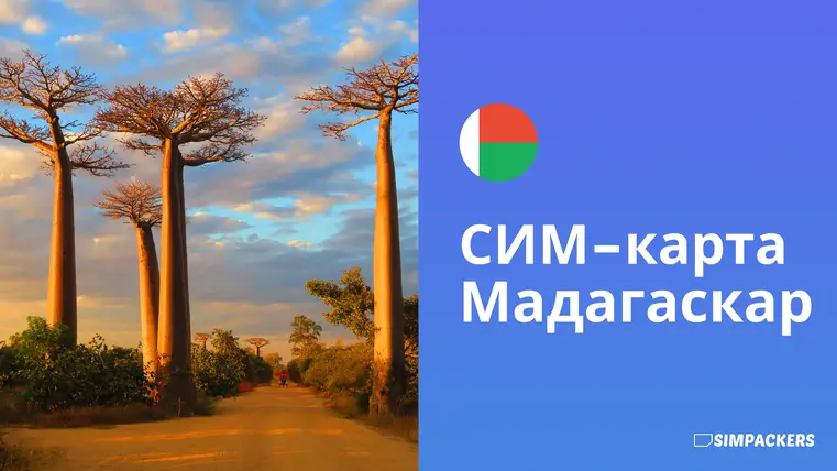 RU/FEATURED_IMAGES/sim-karta-madagaskar.webp