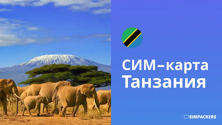 RU/FEATURED_IMAGES/sim-karta-tanzaniya.webp